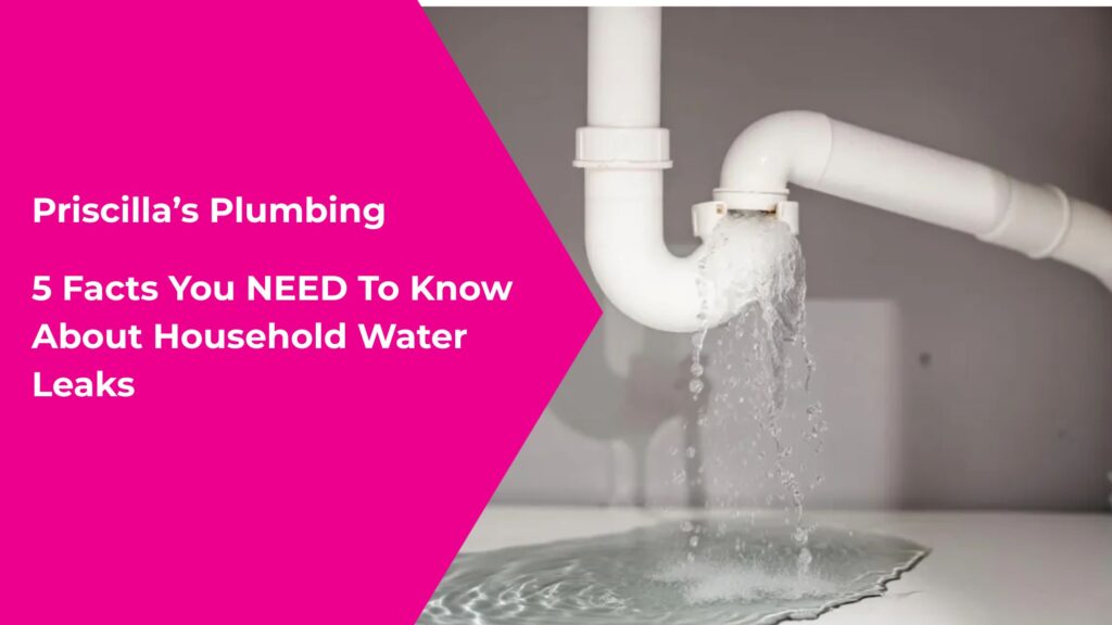5 Facts You NEED To Know About Household Water Leaks