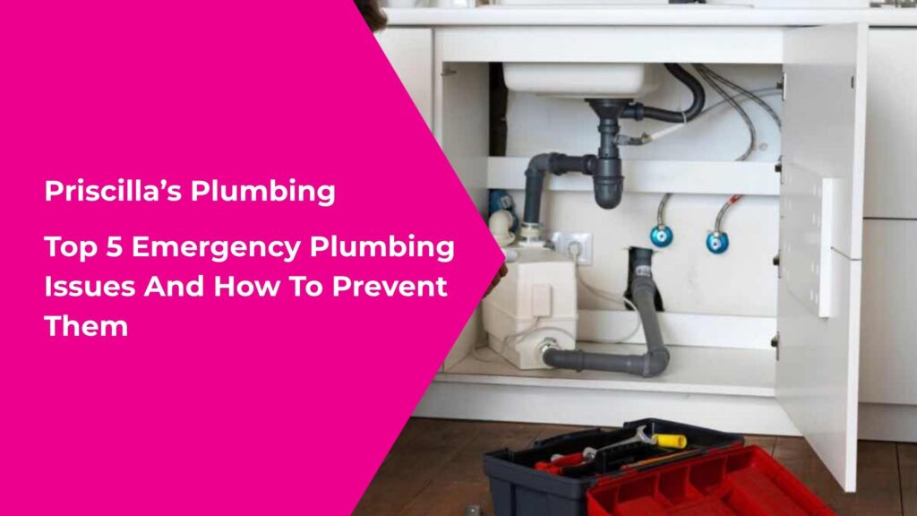 Top 5 Emergency Plumbing Issues And How To Prevent Them